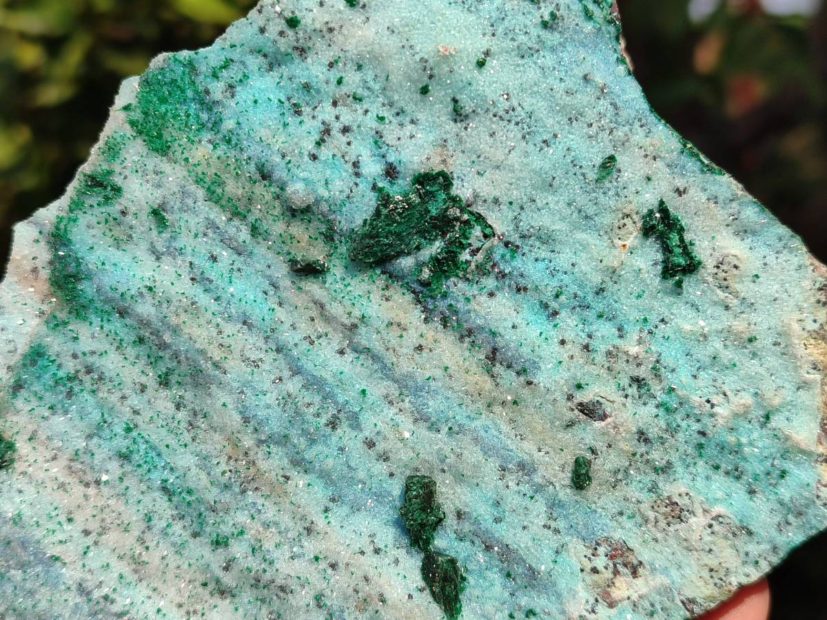 Natural Drusy Chrysocolla Specimens x 3 From Congo - Toprock Gemstones and Minerals 