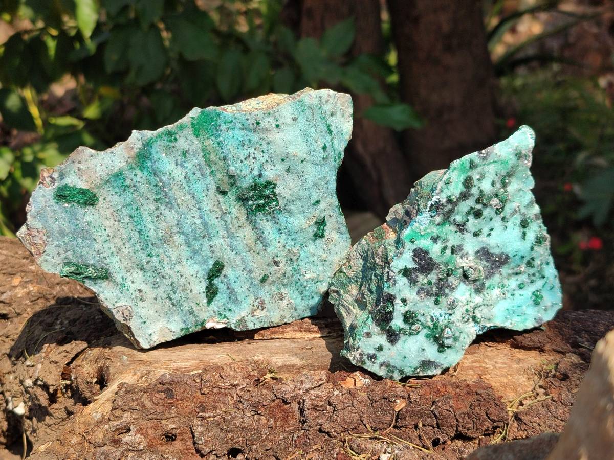 Natural Drusy Chrysocolla Specimens x 3 From Congo - Toprock Gemstones and Minerals 