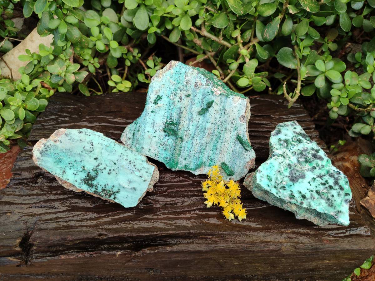 Natural Drusy Chrysocolla Specimens x 3 From Congo - Toprock Gemstones and Minerals 