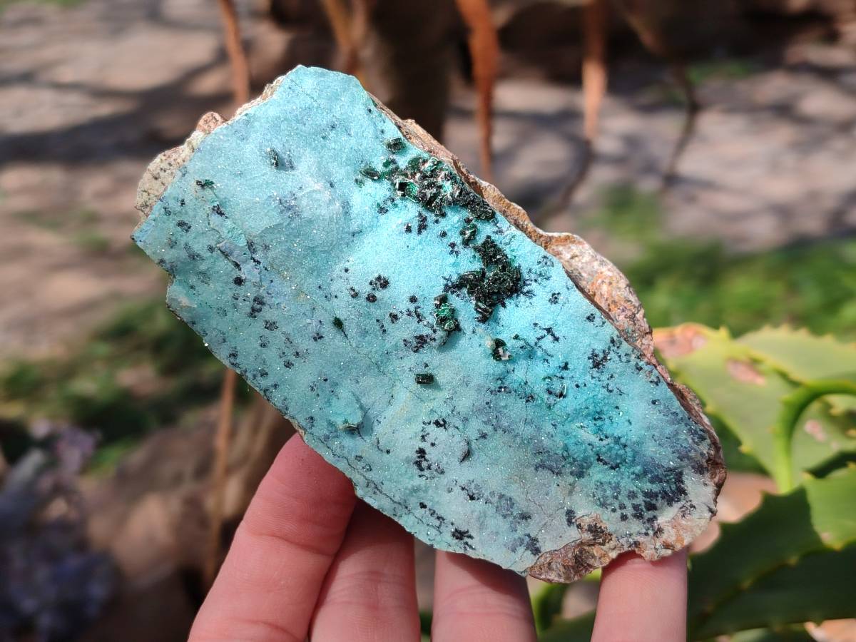 Natural Drusy Chrysocolla Specimens x 3 From Congo - Toprock Gemstones and Minerals 
