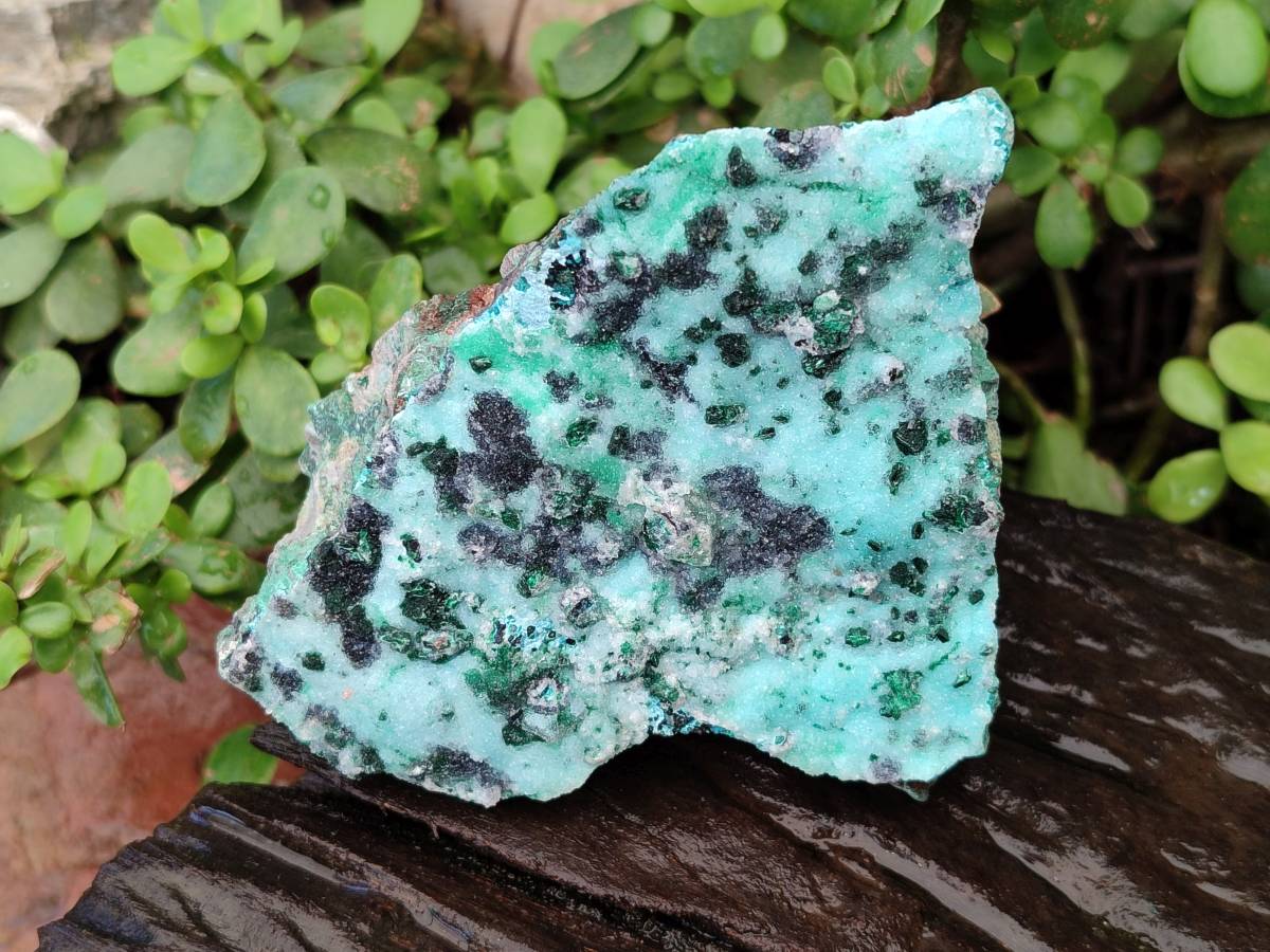 Natural Drusy Chrysocolla Specimens x 3 From Congo - Toprock Gemstones and Minerals 