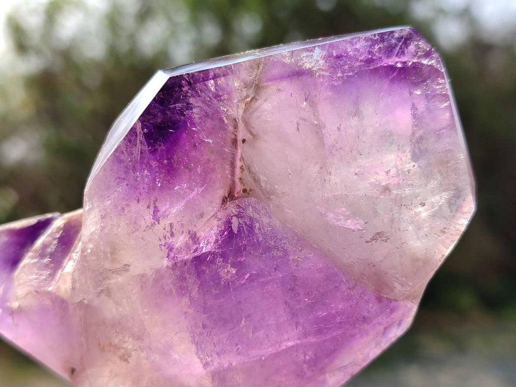 Polished Window Amethyst Crystals x 6 From Madagascar - Toprock Gemstones and Minerals 