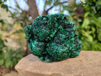 Natural Silky Malachite Specimens x 4 From Kasompe, Congo