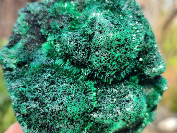 Natural Silky Malachite Specimens x 4 From Kasompe, Congo