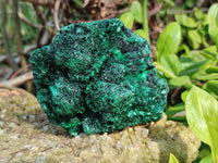 Natural Silky Malachite Specimens x 4 From Kasompe, Congo