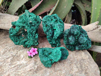 Natural Silky Malachite Specimens x 4 From Kasompe, Congo
