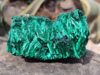 Natural Silky Malachite Specimens x 4 From Kasompe, Congo