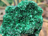 Natural Silky Malachite Specimens x 4 From Kasompe, Congo