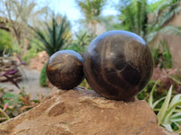 Polished Pharaoh Stone Spheres x 2 From Zimbabwe
