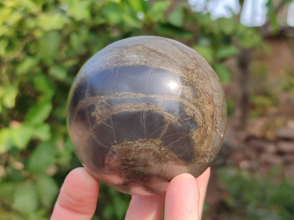 Polished Pharaoh Stone Spheres x 2 From Zimbabwe