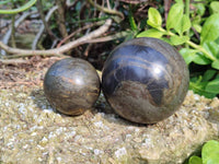 Polished Pharaoh Stone Spheres x 2 From Zimbabwe