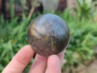 Polished Pharaoh Stone Spheres x 2 From Zimbabwe