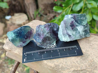 Natural Watermelon Fluorite Cobbed Specimens x 35 From Namibia
