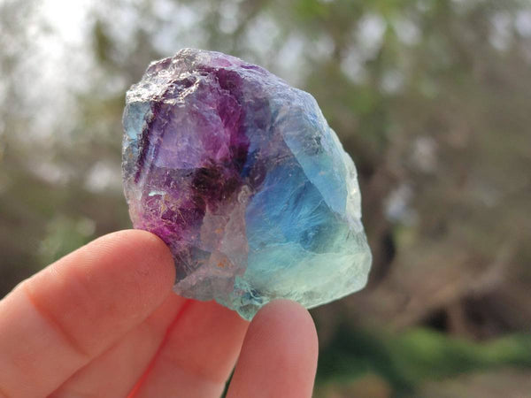 Natural Watermelon Fluorite Cobbed Specimens x 35 From Namibia