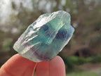 Natural Watermelon Fluorite Cobbed Specimens x 35 From Namibia - Toprock Gemstones and Minerals 