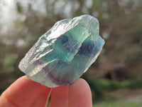 Natural Watermelon Fluorite Cobbed Specimens x 35 From Namibia