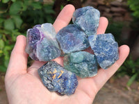 Natural Watermelon Fluorite Cobbed Specimens x 35 From Namibia