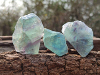 Natural Watermelon Fluorite Cobbed Specimens x 35 From Namibia
