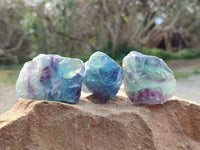 Natural Watermelon Fluorite Cobbed Specimens x 35 From Namibia