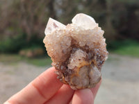 Natural Spirit Quartz Crystals x 12 From South Africa