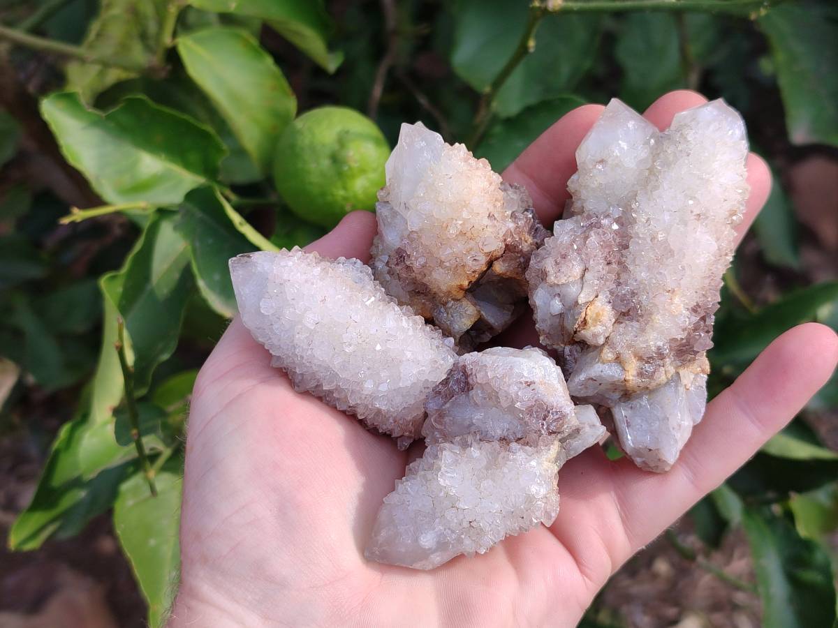 Natural Spirit Quartz Crystals x 12 From South Africa - Toprock Gemstones and Minerals 