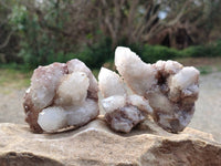 Natural Spirit Quartz Crystals x 12 From South Africa