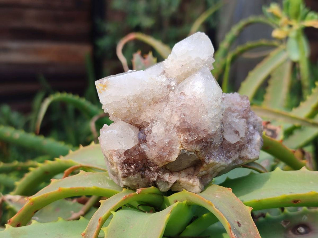 Natural Spirit Quartz Crystals x 12 From South Africa - Toprock Gemstones and Minerals 