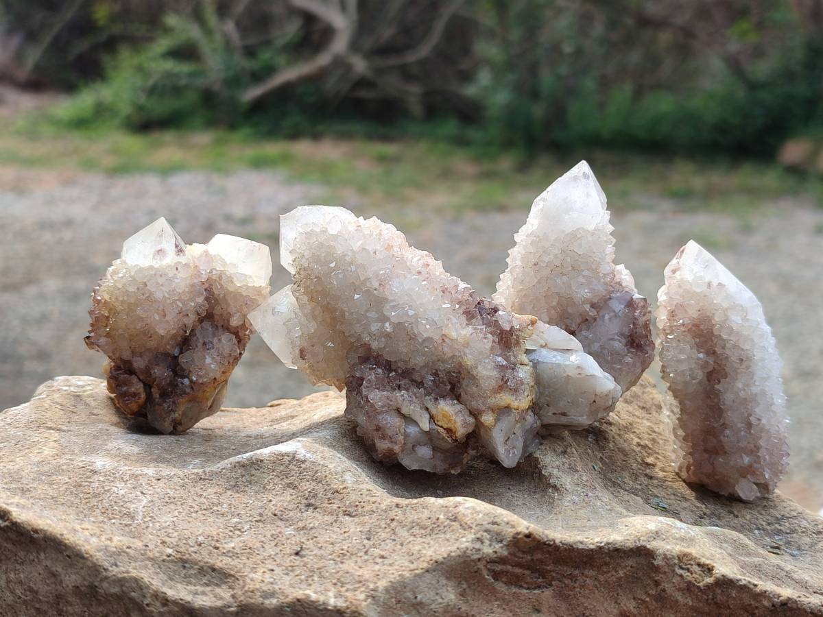 Natural Spirit Quartz Crystals x 12 From South Africa - Toprock Gemstones and Minerals 