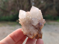 Natural Spirit Quartz Crystals x 12 From South Africa
