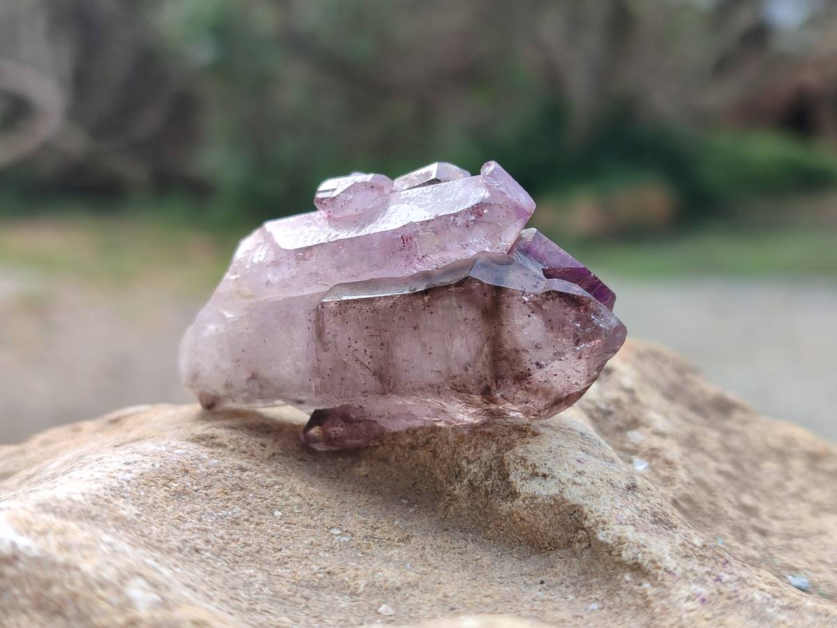 Natural Window Amethyst Crystals x 12 From Chiredzi, Zimbabwe - Toprock Gemstones and Minerals 