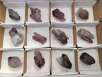 Natural Window Amethyst Crystals x 12 From Chiredzi, Zimbabwe - Toprock Gemstones and Minerals 