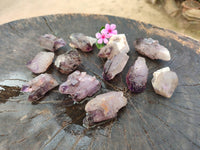 Natural Window Amethyst Crystals x 12 From Chiredzi, Zimbabwe