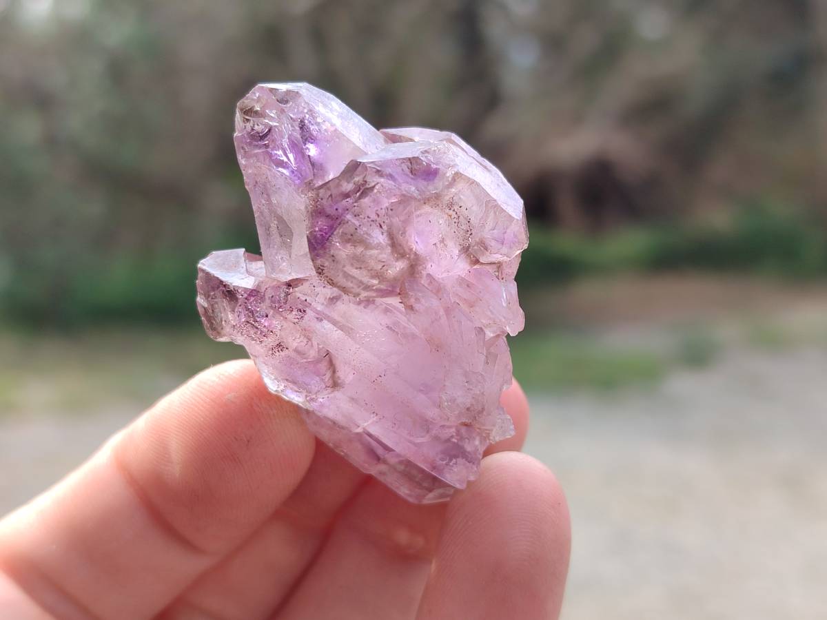 Natural Window Amethyst Crystals x 12 From Chiredzi, Zimbabwe - Toprock Gemstones and Minerals 