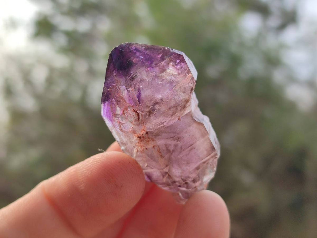 Natural Window Amethyst Crystals x 12 From Chiredzi, Zimbabwe - Toprock Gemstones and Minerals 