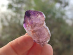 Natural Window Amethyst Crystals x 12 From Chiredzi, Zimbabwe - Toprock Gemstones and Minerals 
