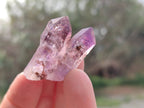 Natural Window Amethyst Crystals x 12 From Chiredzi, Zimbabwe - Toprock Gemstones and Minerals 