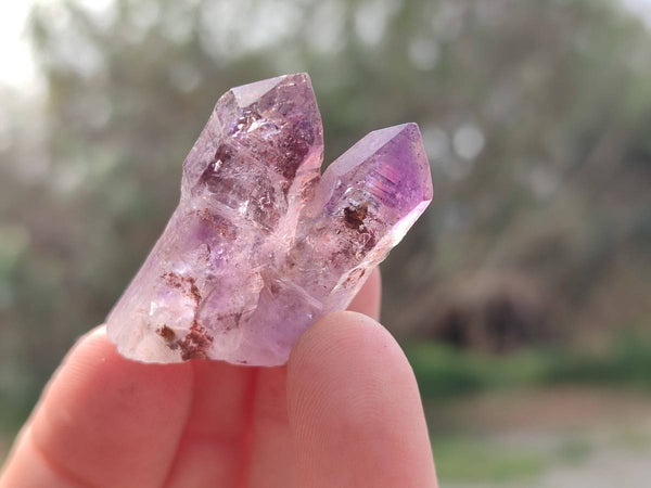 Natural Window Amethyst Crystals x 12 From Chiredzi, Zimbabwe