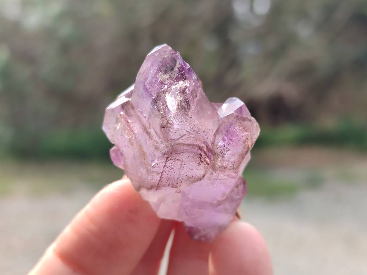 Natural Window Amethyst Crystals x 12 From Chiredzi, Zimbabwe - Toprock Gemstones and Minerals 