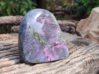 Polished Purple Labradorite Standing Free Forms x 2 From Tulear, Madagascar