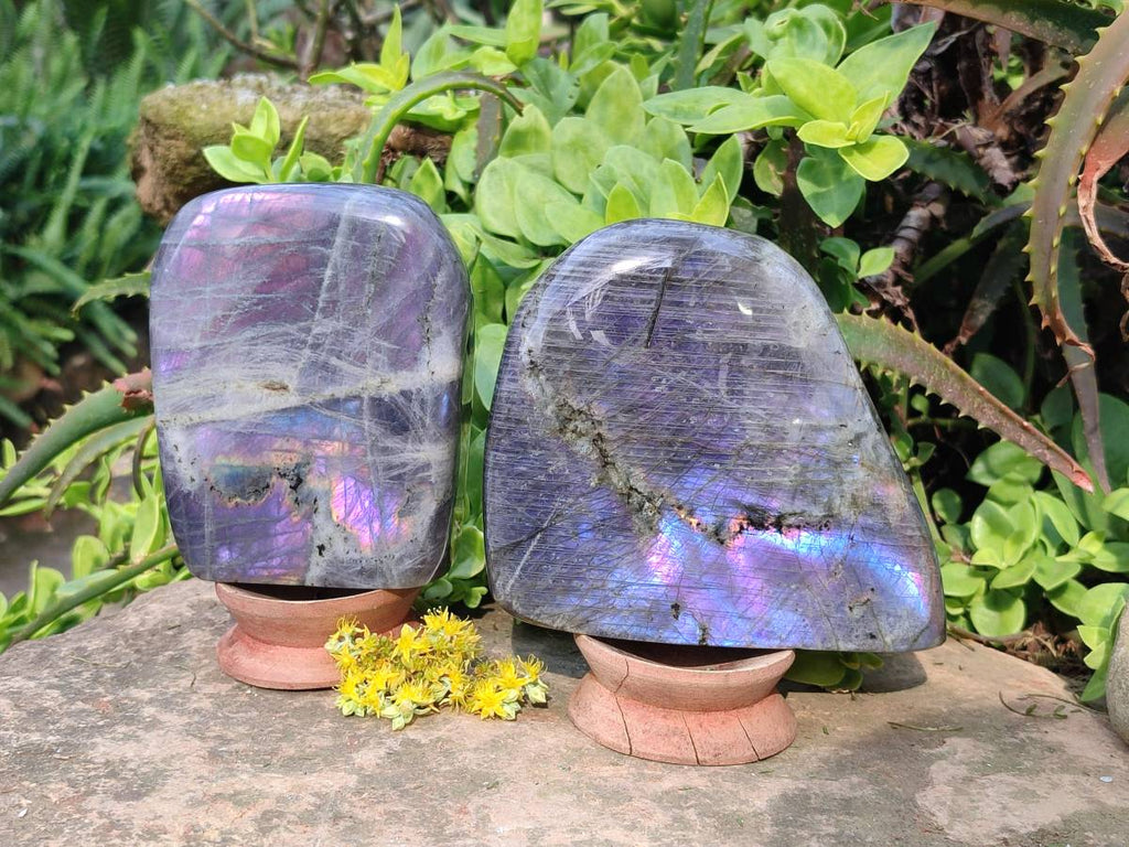 Polished Purple Labradorite Standing Free Forms x 2 From Tulear, Madagascar - Toprock Gemstones and Minerals 