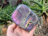 Polished Purple Labradorite Standing Free Forms x 2 From Tulear, Madagascar