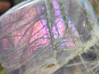 Polished Purple Labradorite Standing Free Forms x 2 From Tulear, Madagascar - Toprock Gemstones and Minerals 