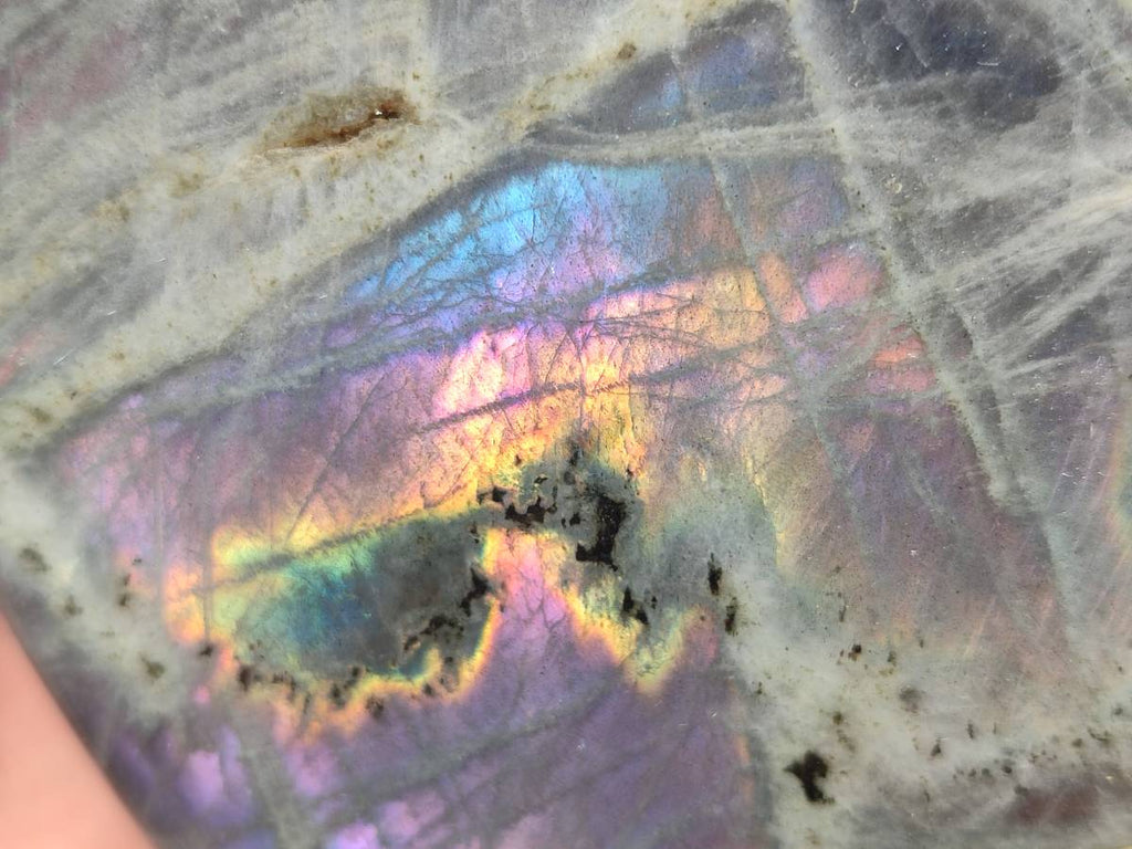 Polished Purple Labradorite Standing Free Forms x 2 From Tulear, Madagascar - Toprock Gemstones and Minerals 