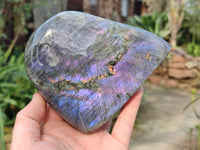Polished Purple Labradorite Standing Free Forms x 2 From Tulear, Madagascar