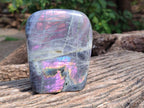 Polished Purple Labradorite Standing Free Forms x 2 From Tulear, Madagascar - Toprock Gemstones and Minerals 