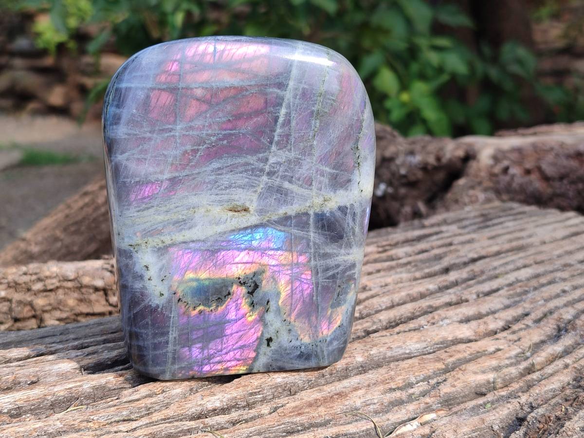 Polished Purple Labradorite Standing Free Forms x 2 From Tulear, Madagascar - Toprock Gemstones and Minerals 