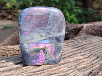 Polished Purple Labradorite Standing Free Forms x 2 From Tulear, Madagascar