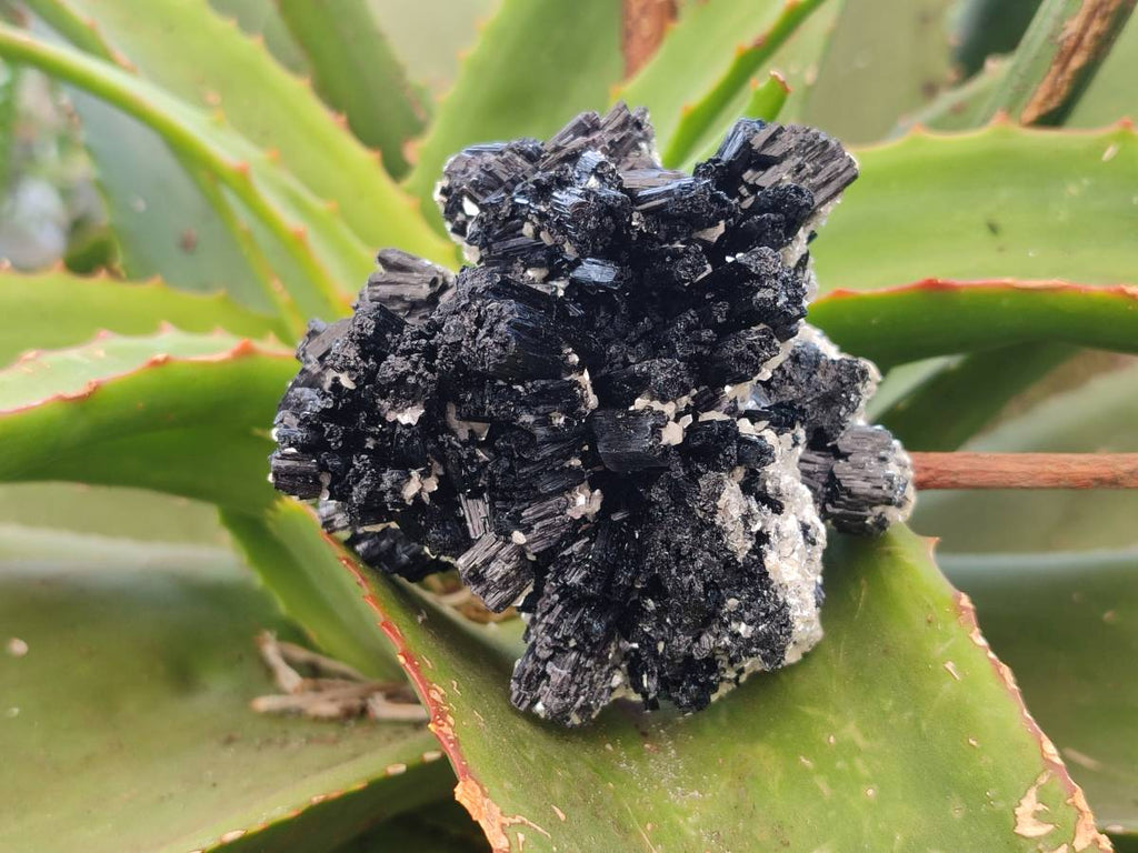 Natural Schorl Black Tourmaline Specimens x 3 From Namibia - Toprock Gemstones and Minerals 