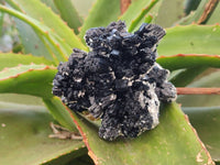 Natural Schorl Black Tourmaline Specimens x 3 From Namibia