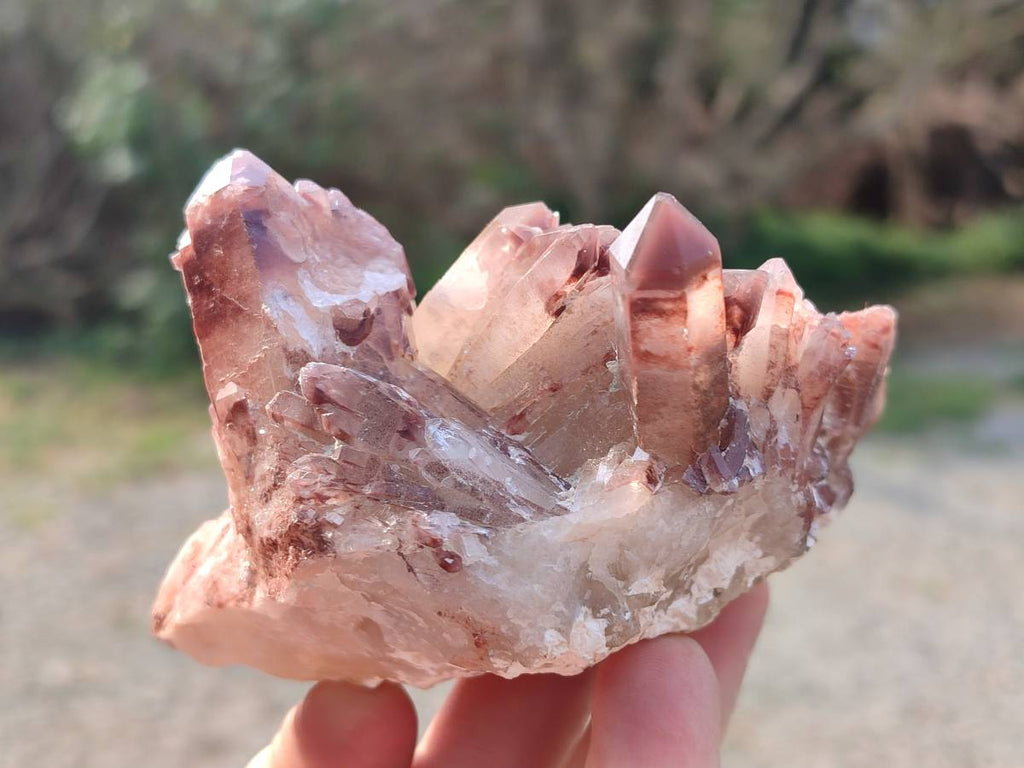 Natural Hematoid Quartz Crystals x 6 From Zimbabwe - Toprock Gemstones and Minerals 